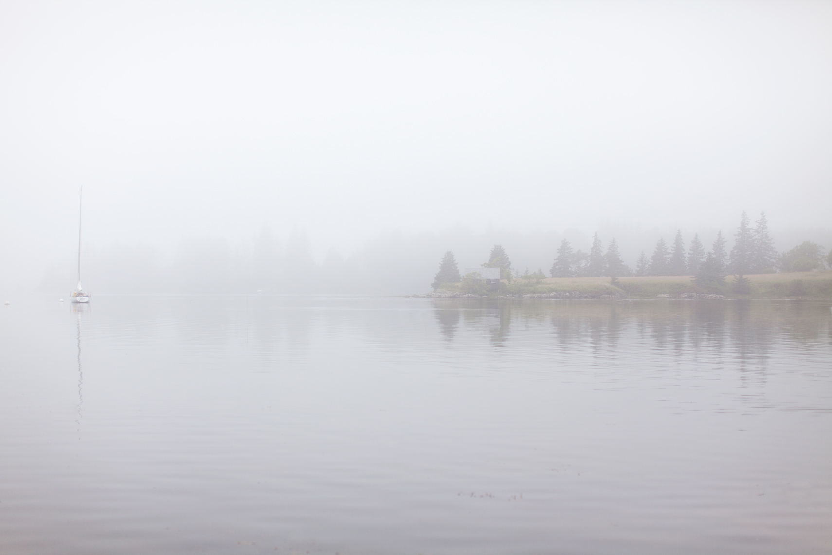 mainefog.jpg