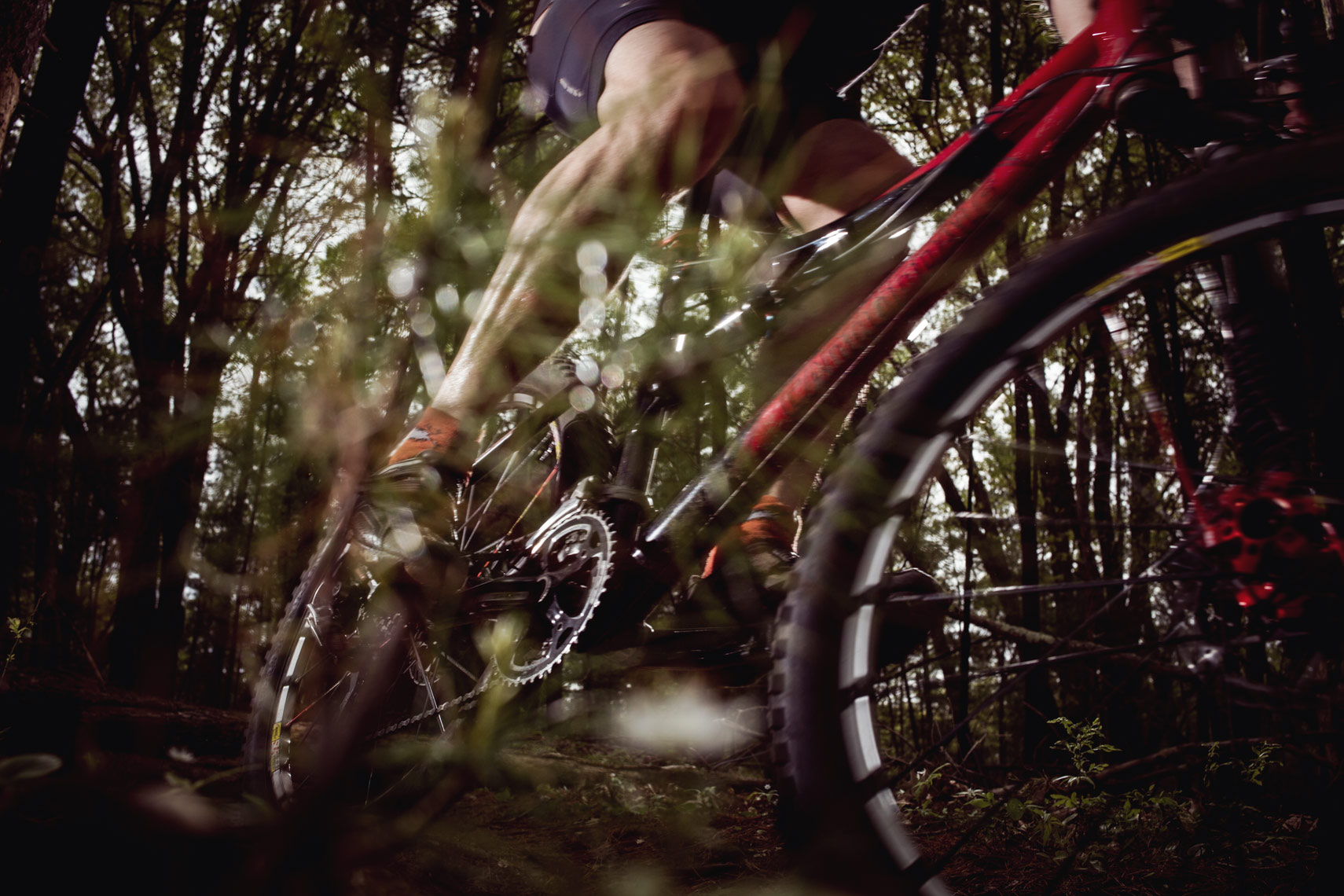 mtnbike3