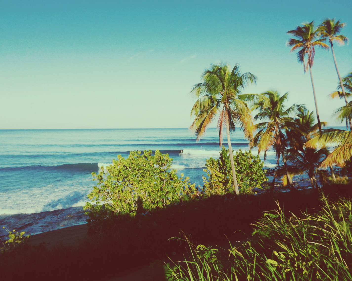 rincon12